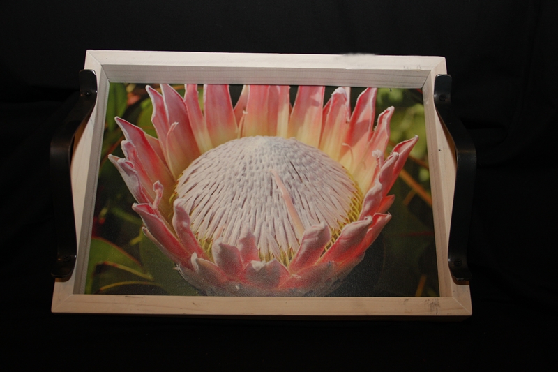 protea-skinkbord